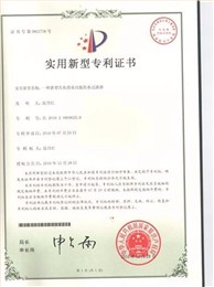 桂川光普-消毒功能水过滤器专利