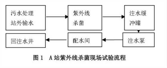 试验流程