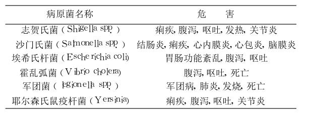 污水常见菌种的危害