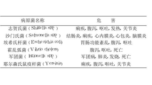 污水紫外线杀菌采用哪种指示菌衡量杀菌效果比较好？