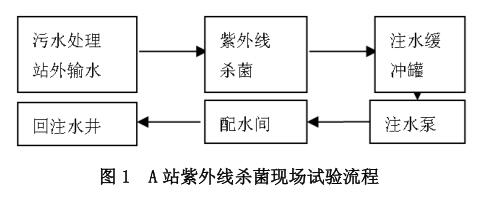 试验流程